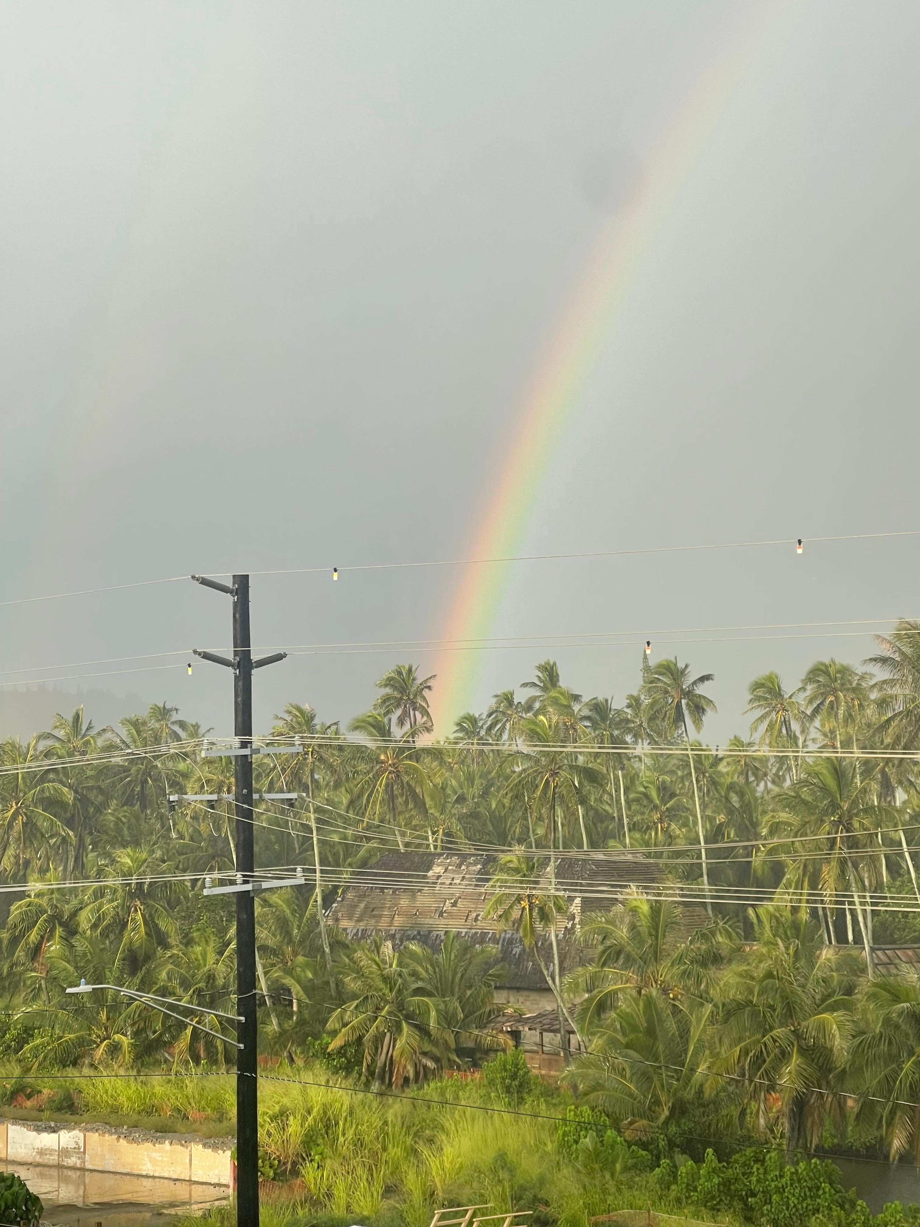 Kawaii is the land of rainbows.