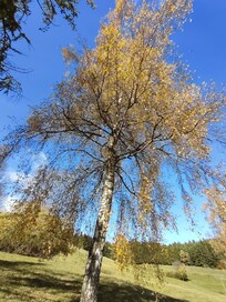 Nous avons observé des couleurs incroybles