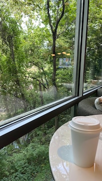 View from lobby