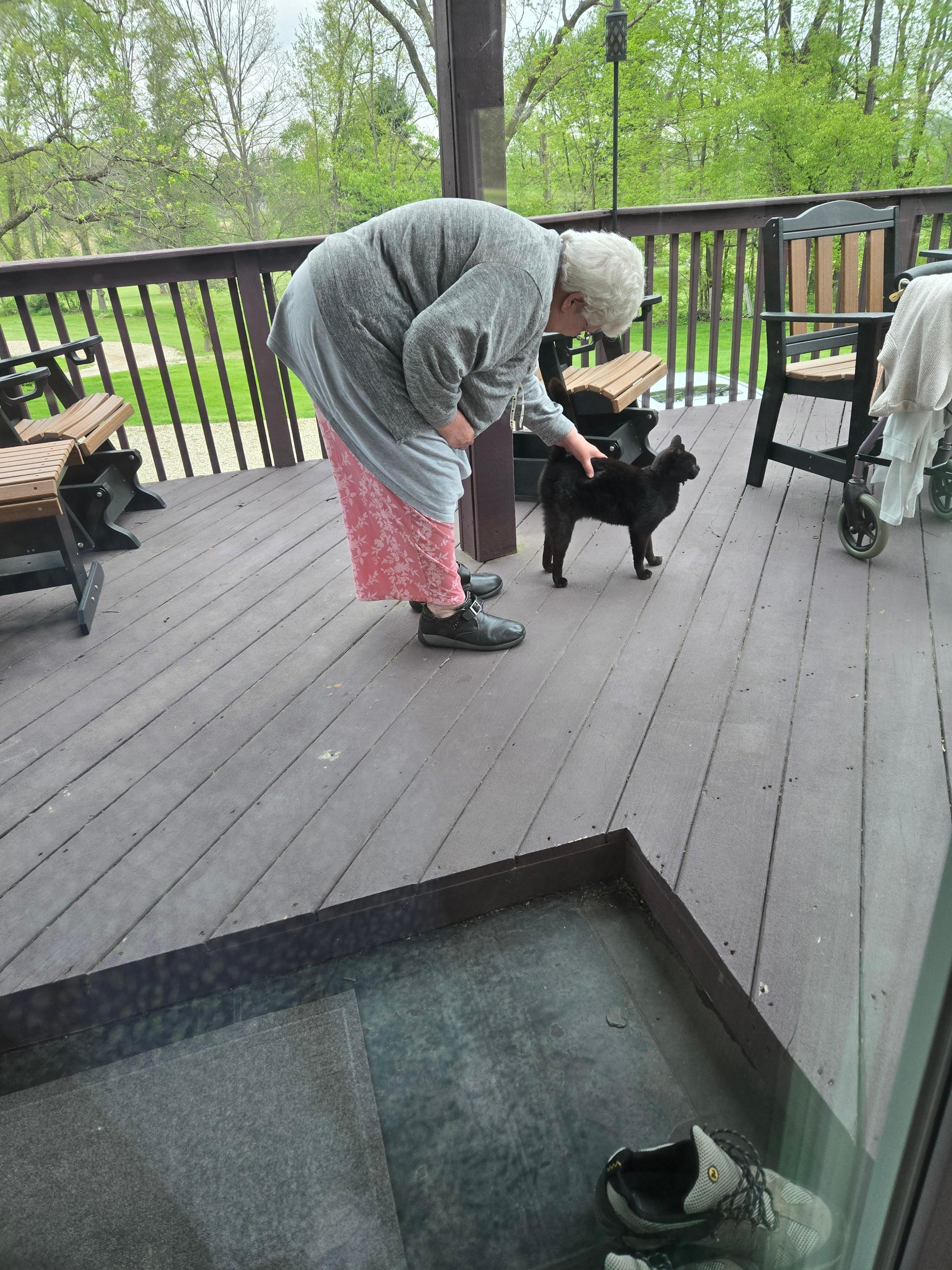My mom visiting the neighbor friendly kitty 