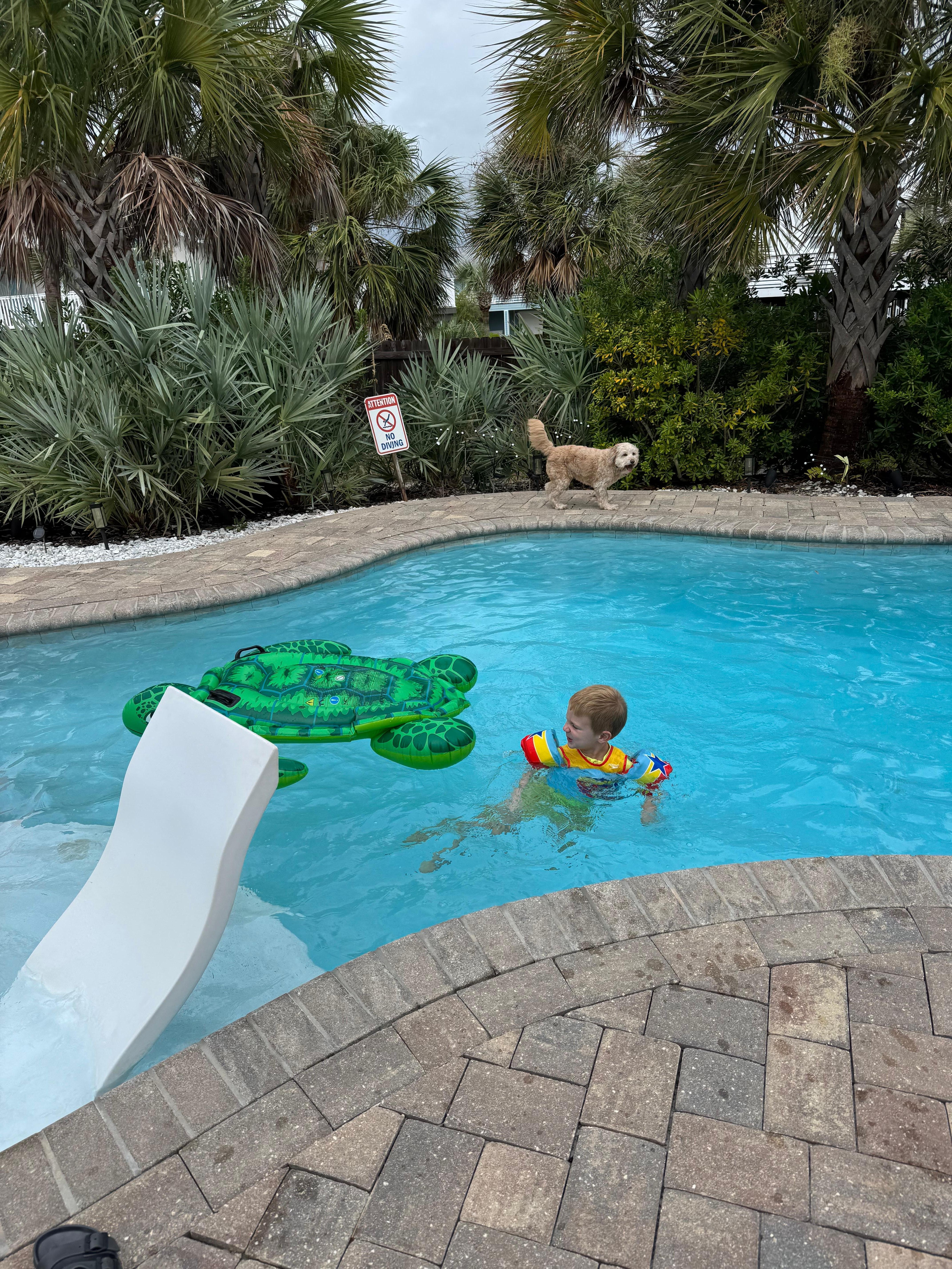 Lovely heated pool and fenced yard for our pup!
