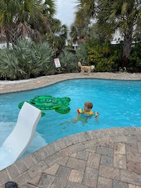 Lovely heated pool and fenced yard for our pup!