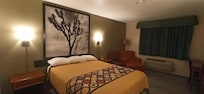 Chambre spacieuse et bien équipée