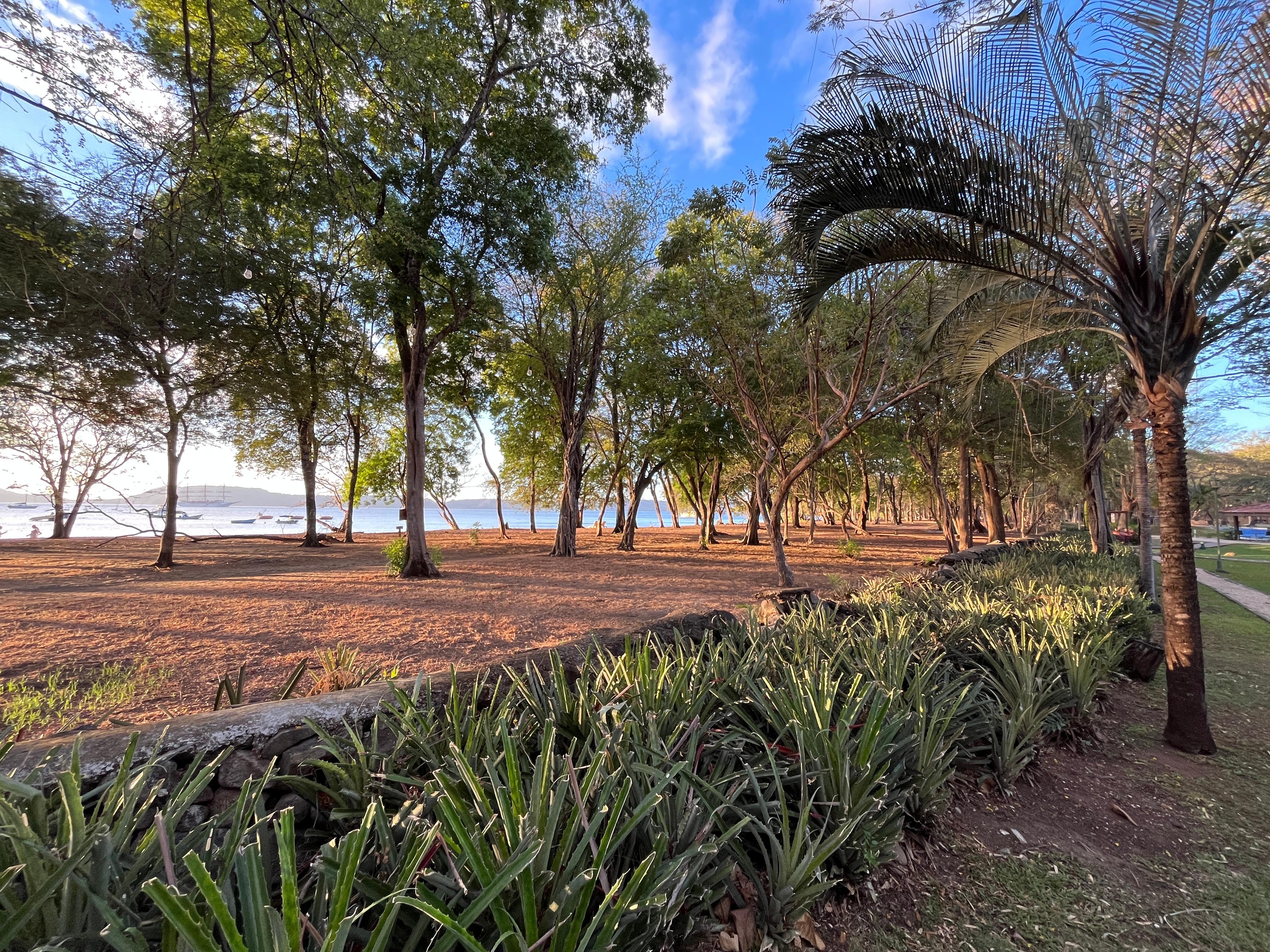 low wall between beach and resort