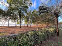 low wall between beach and resort