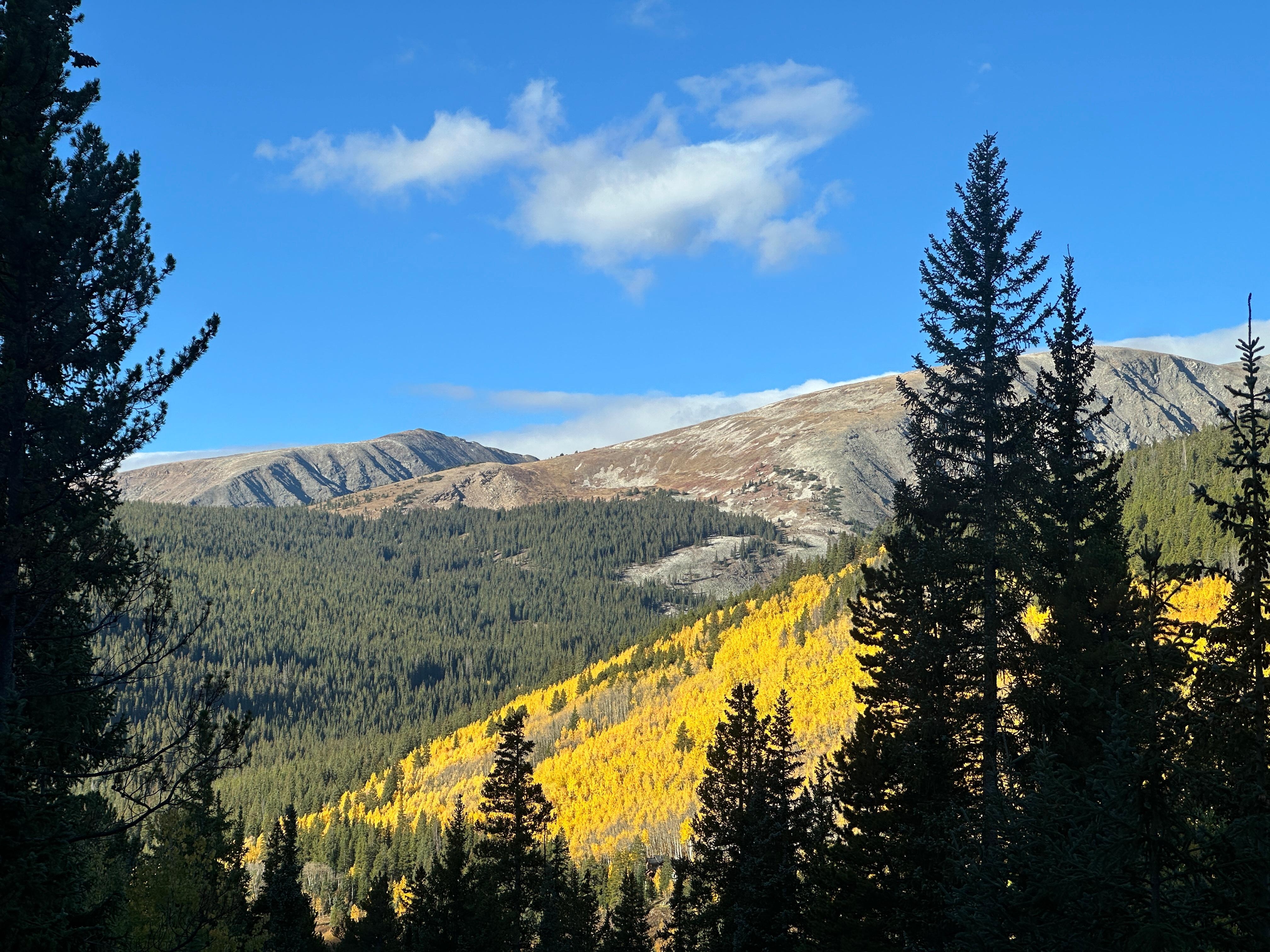 Can you imagine waking up to this view every morning? 