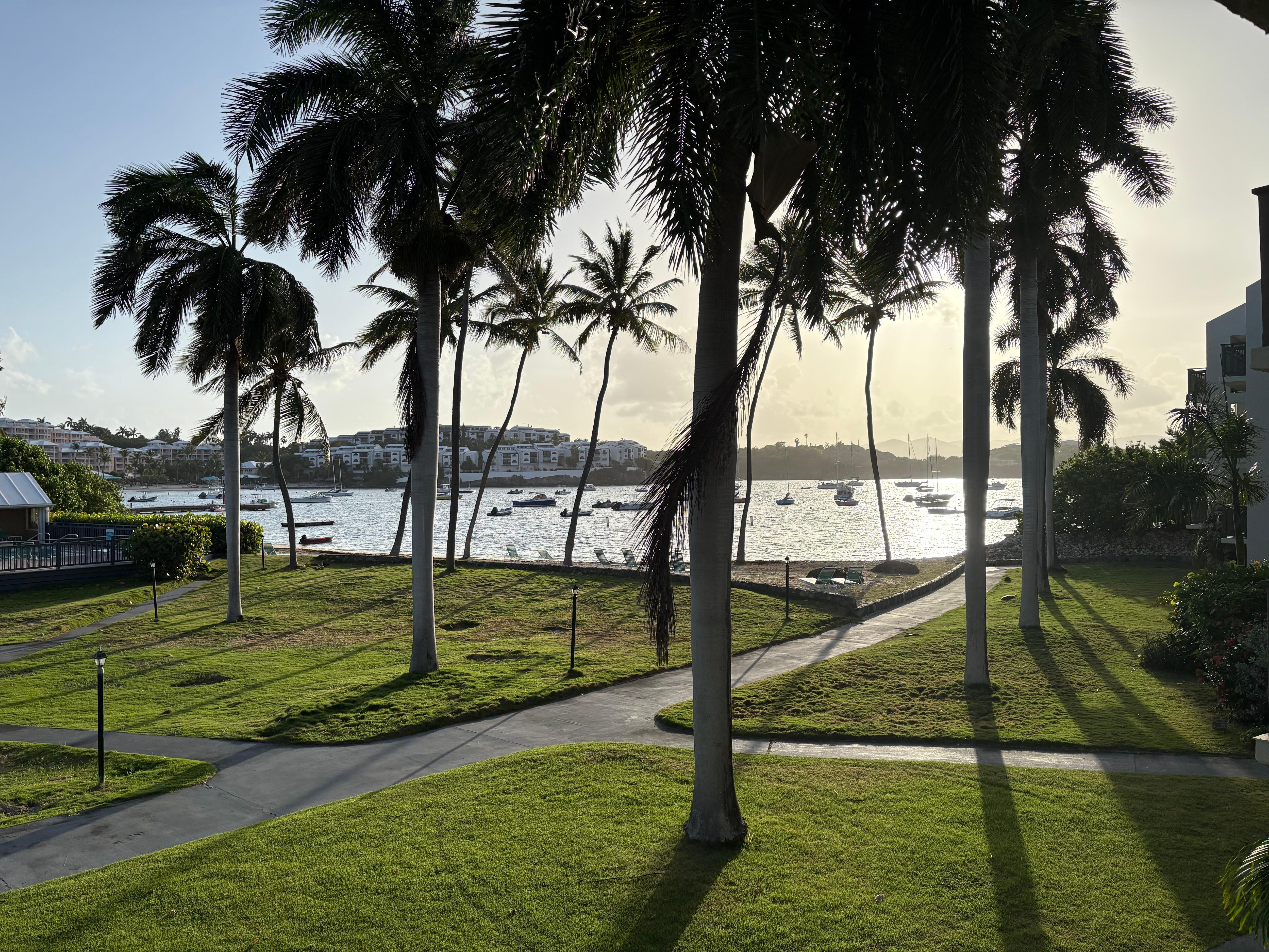 View from lanai