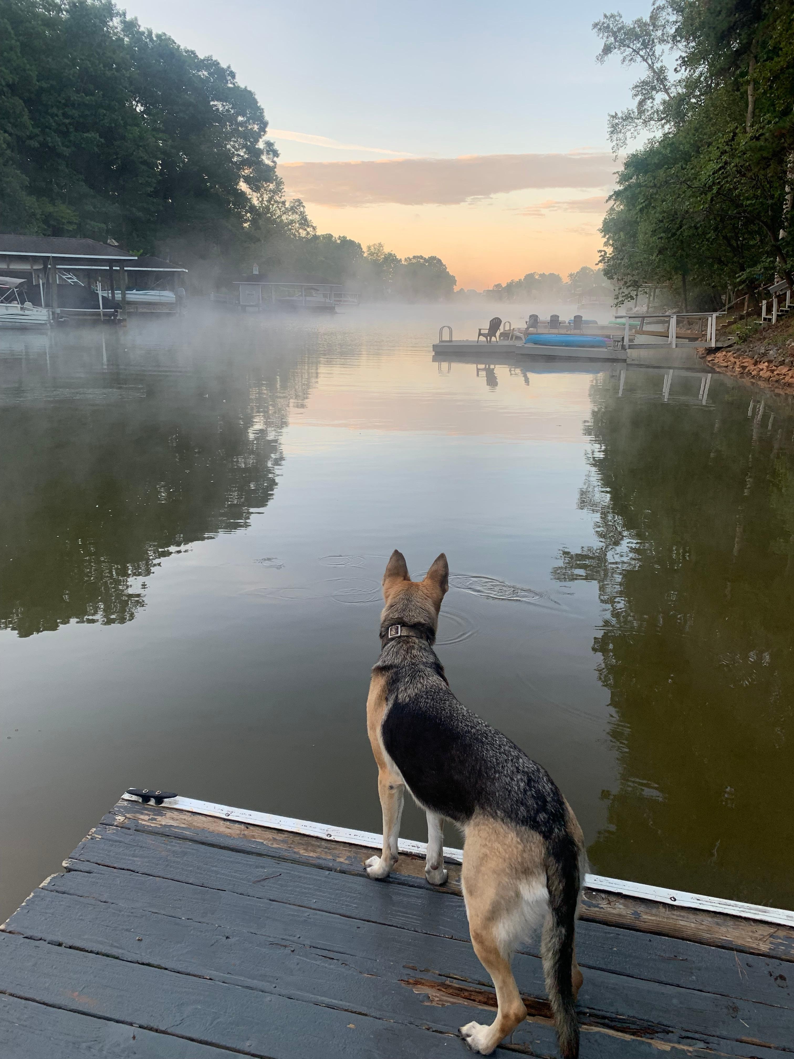 Kaiya loving the view 