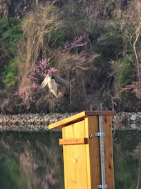 This was from the park nearby with a nice walking path.