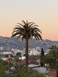 My beautiful view from my room