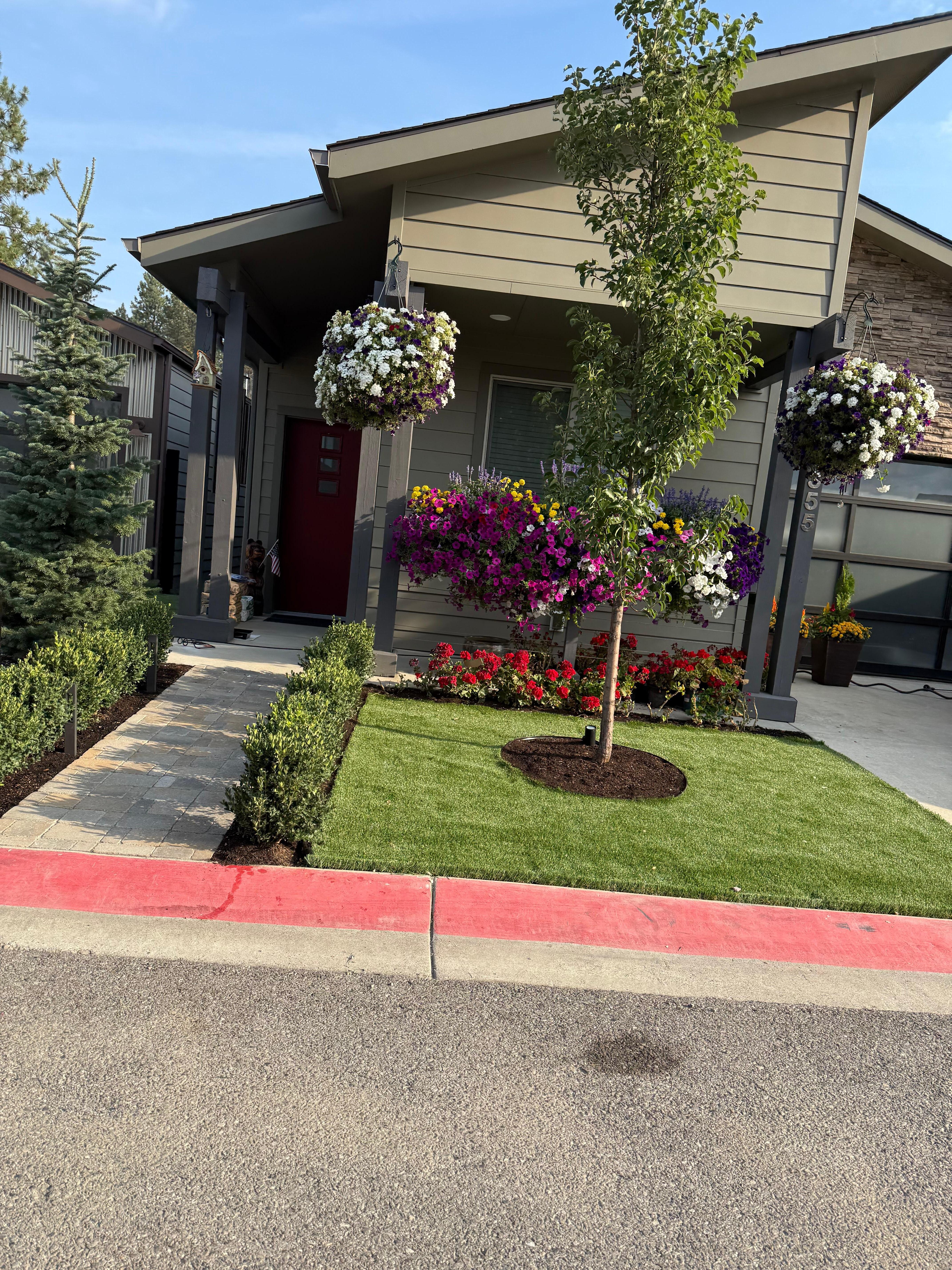 View from the dining room window.