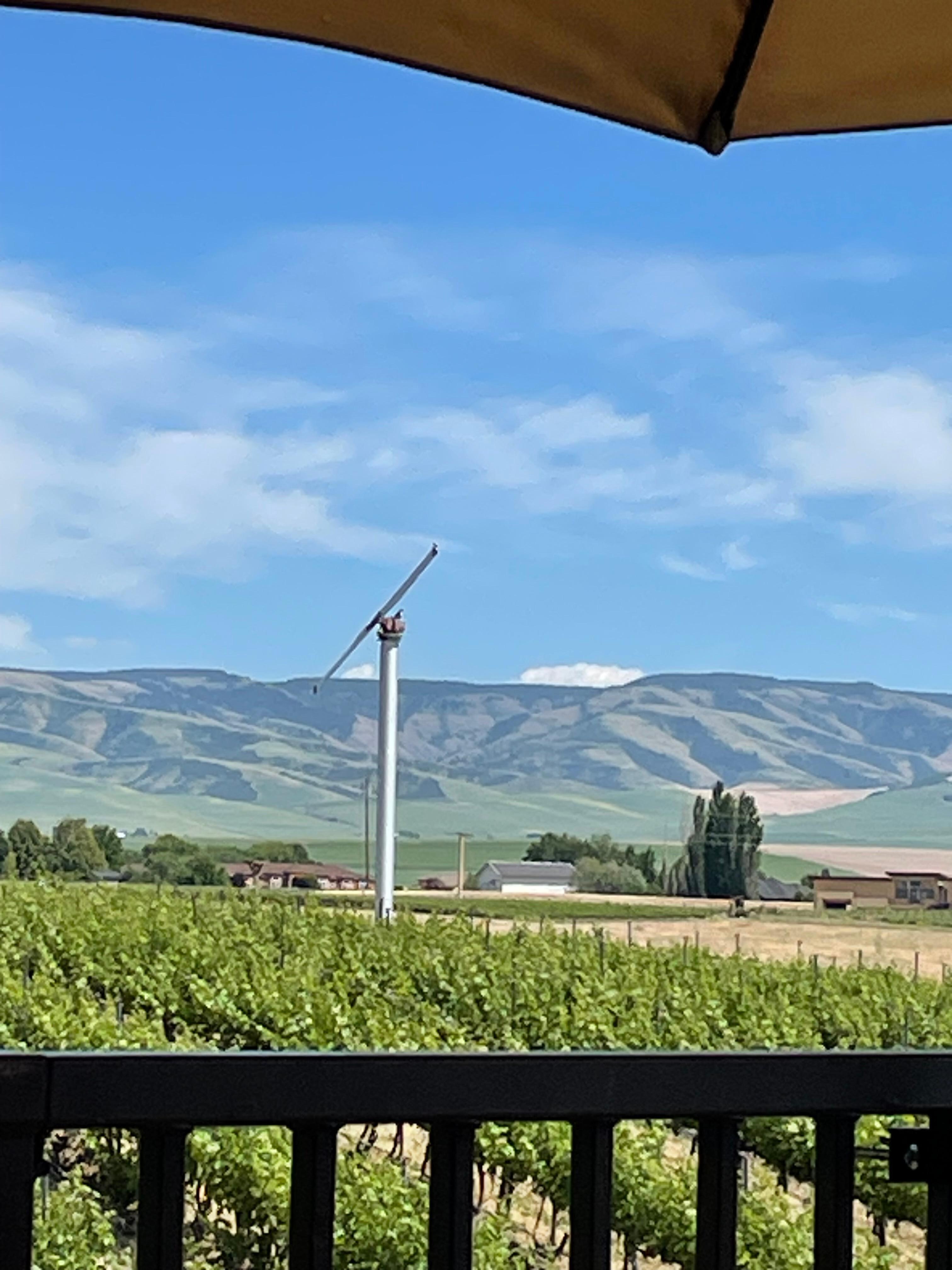 One of many wineries 