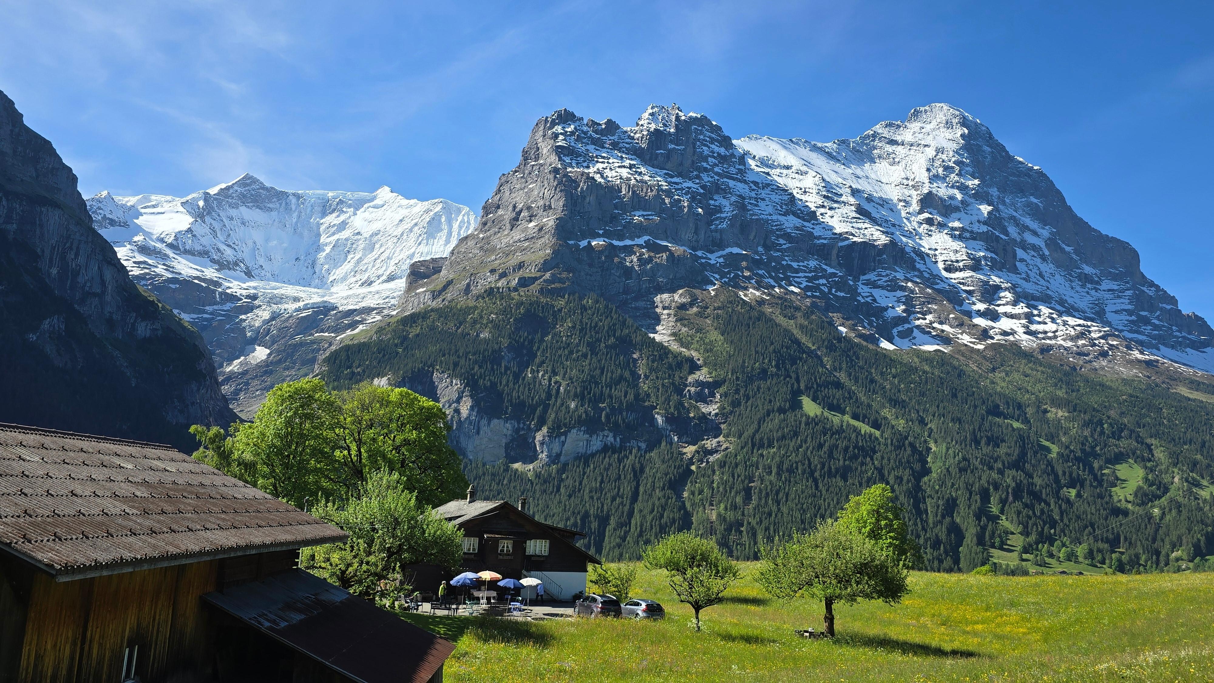 View