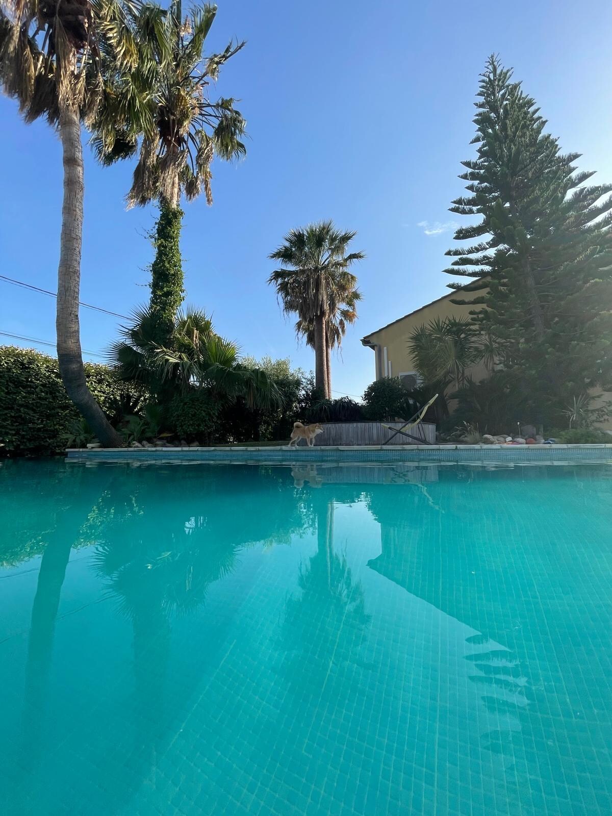 Der tolle Pool