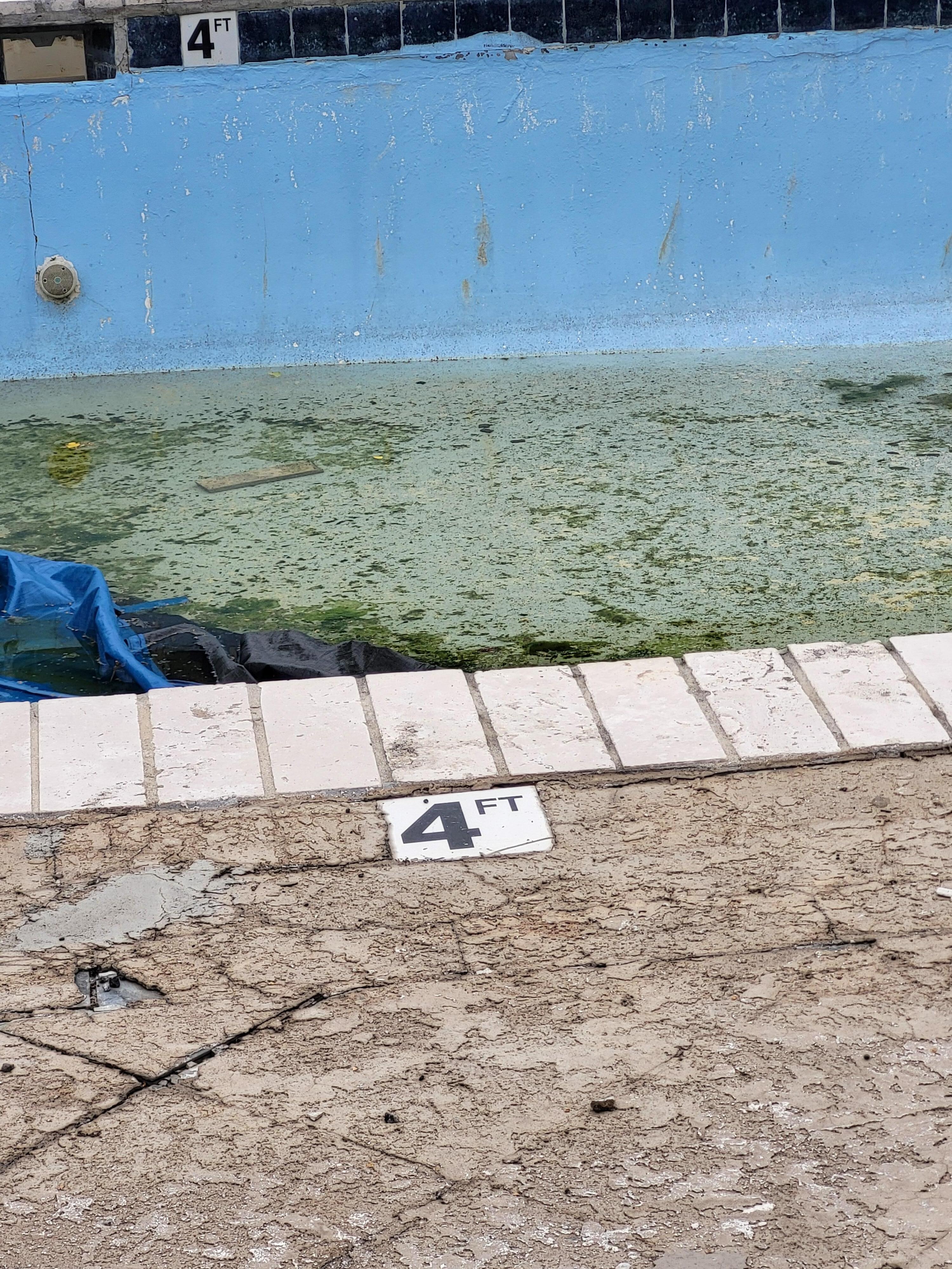 Pool has not been  cleaned  