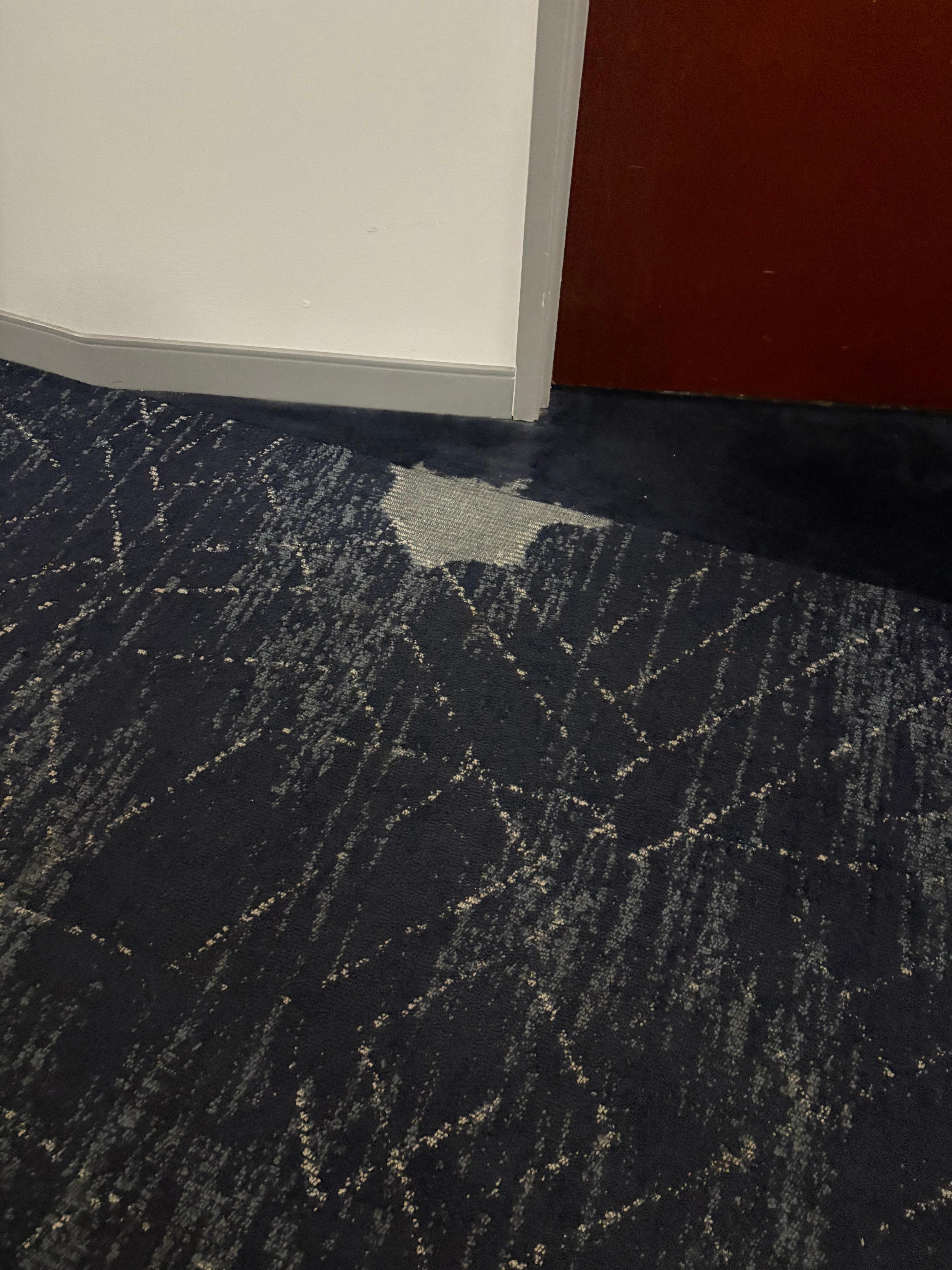 Several places with patches of carpet missing.