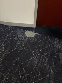 Several places with patches of carpet missing.