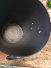 Dirty cups found in cabinets upon arrival.