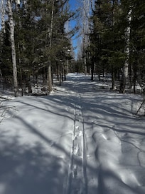 Nice trail in the woods.