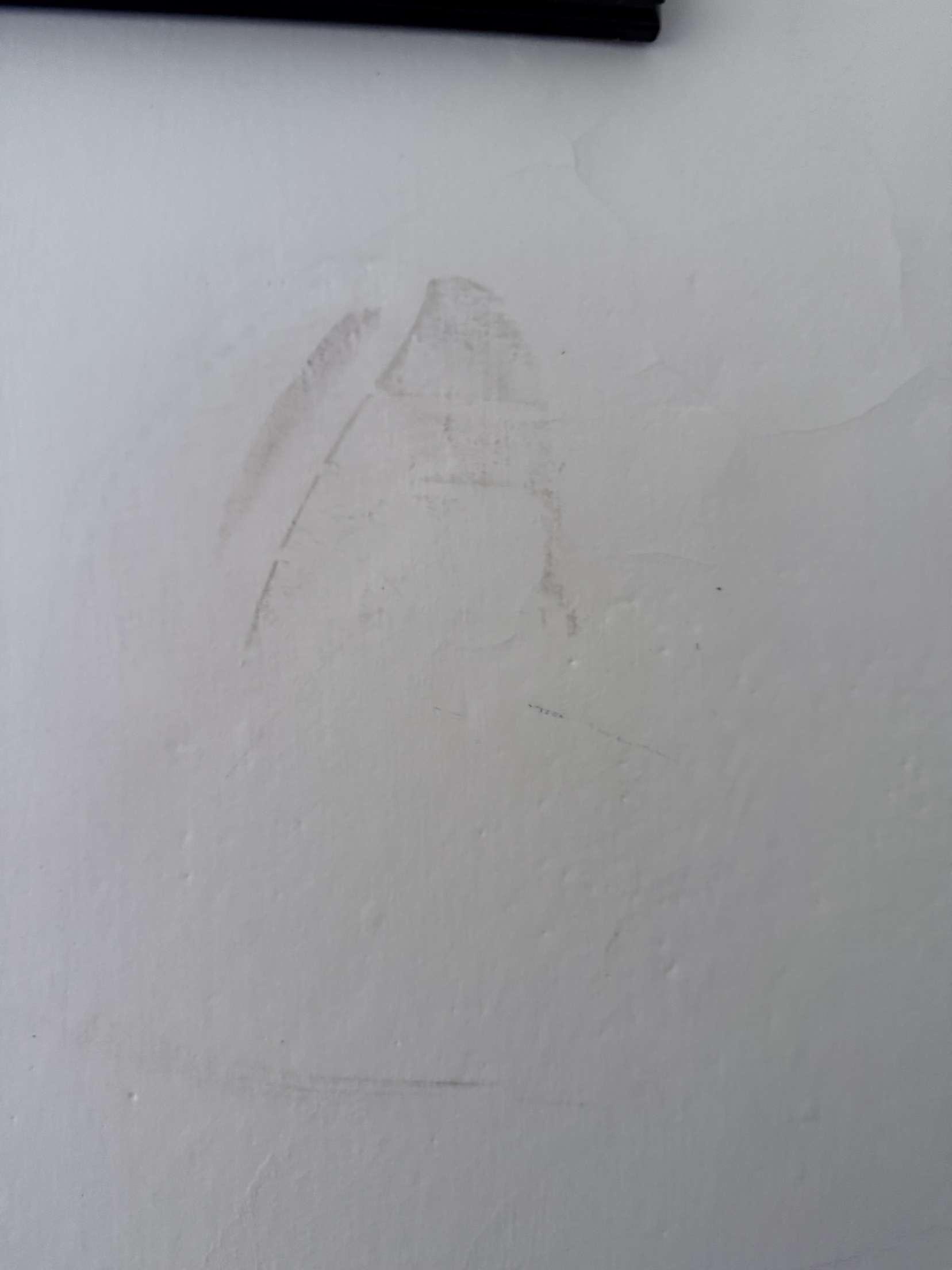 Shoe prints