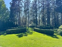 Amazing backyard with entry to Black Bay