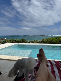 Gorgeous view out back