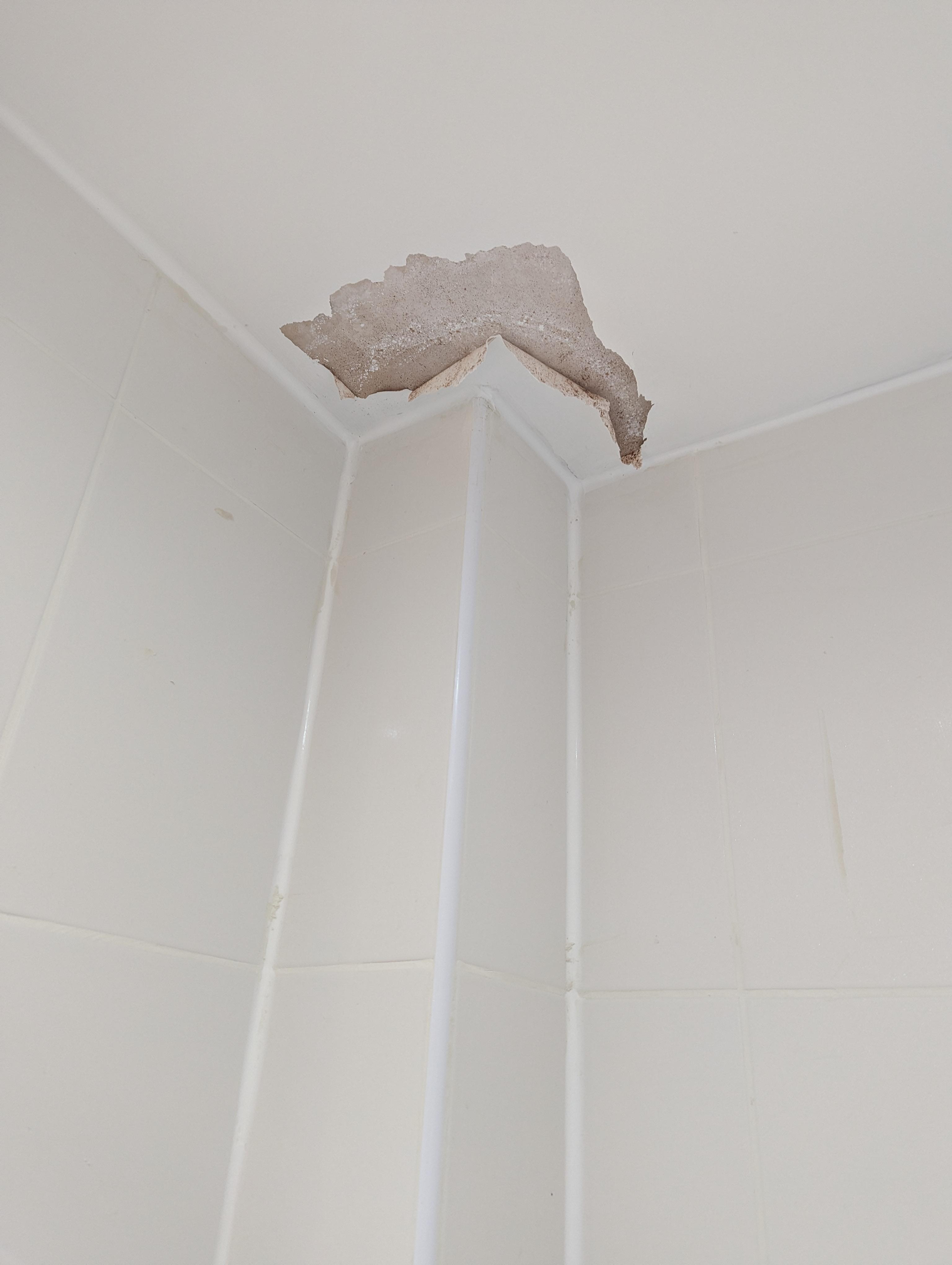 Bathroom ceiling 