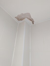 Bathroom ceiling