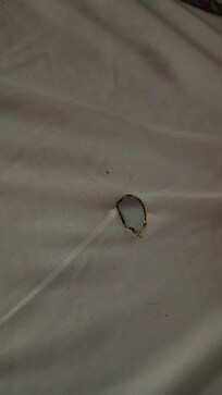 Burn hole in sheet