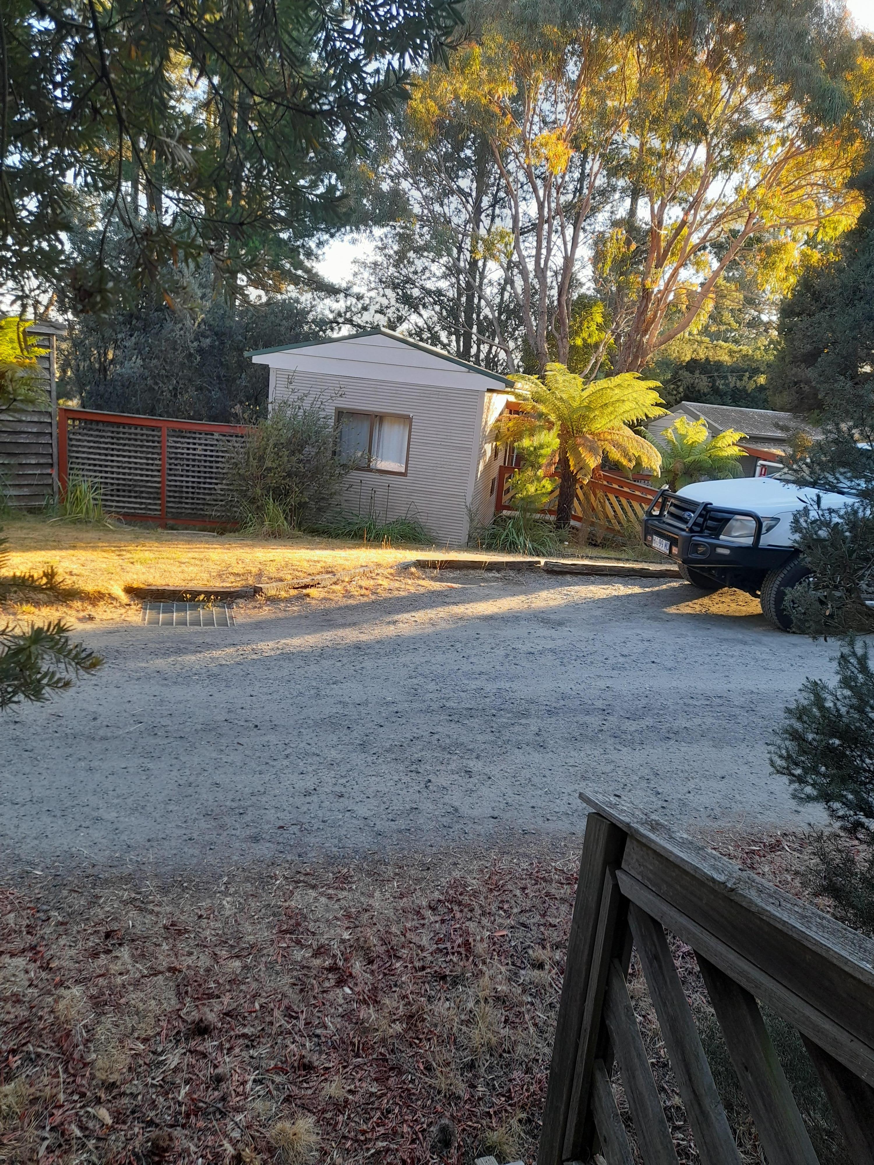 Bush setting & birdlife