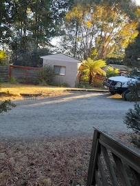 Bush setting & birdlife