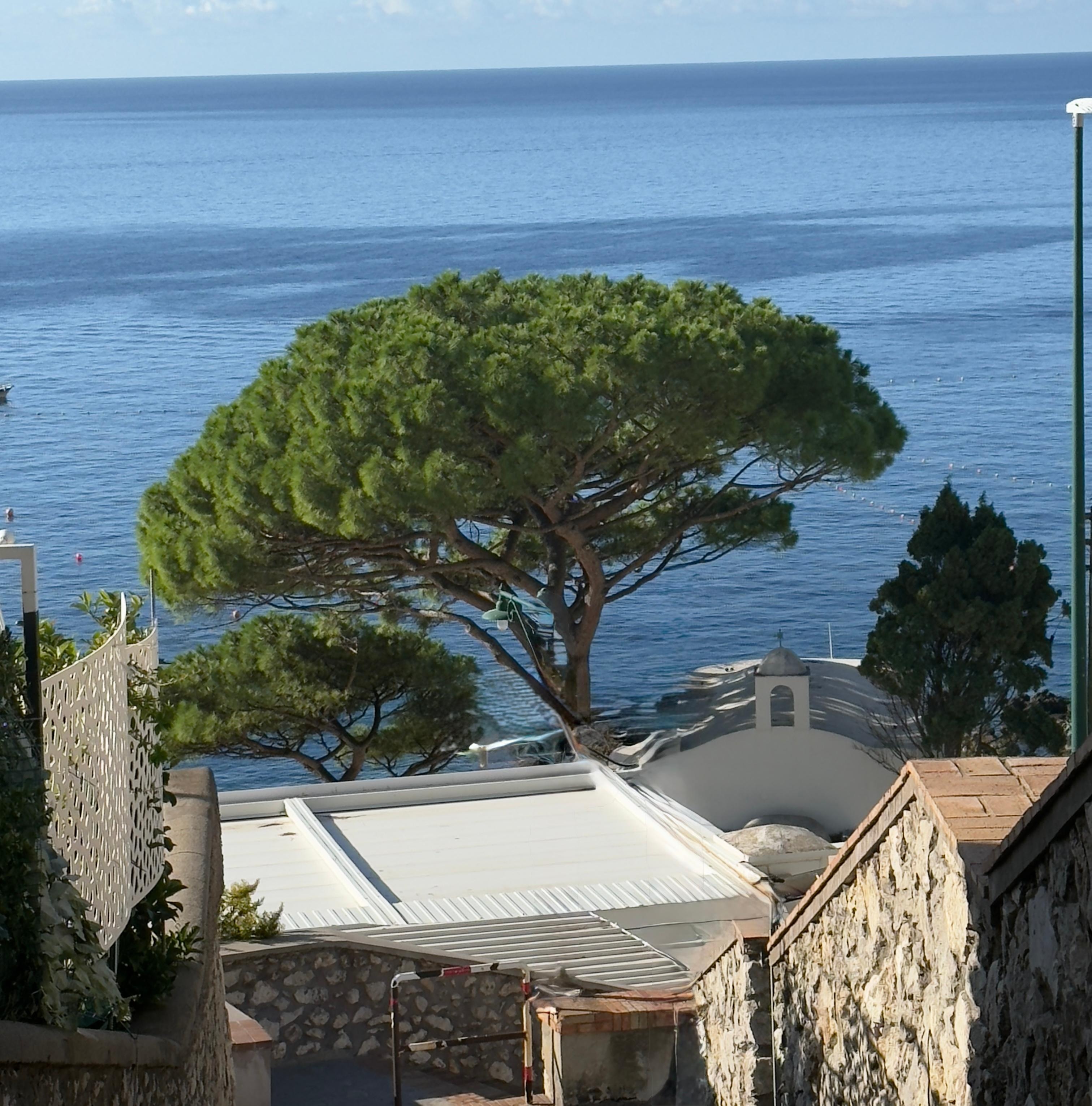 Vista da suite Ibiscus