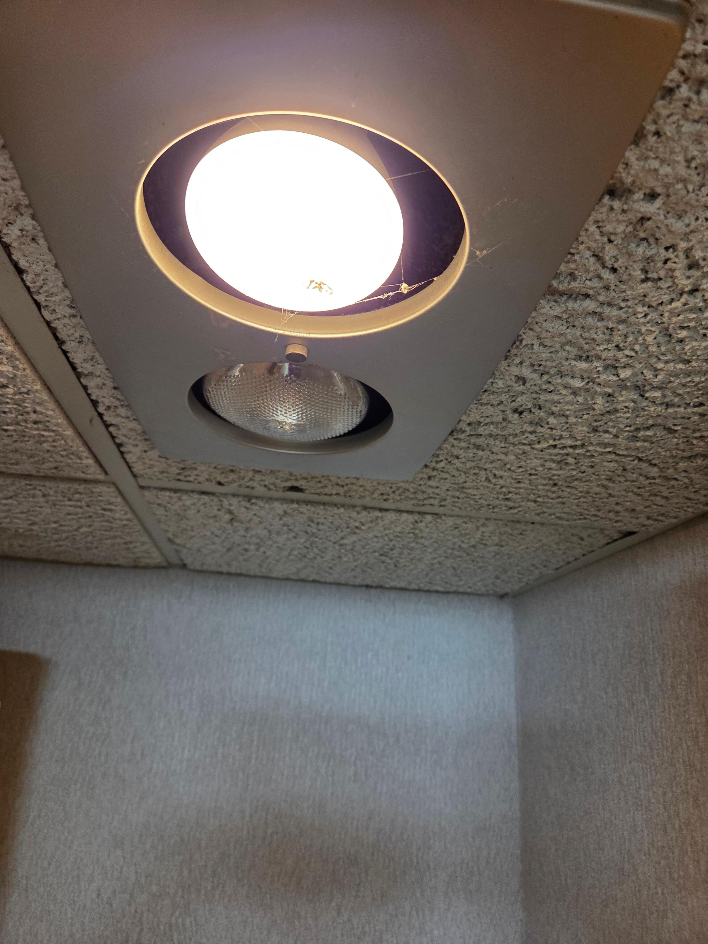 Cobwebs hanging from light 