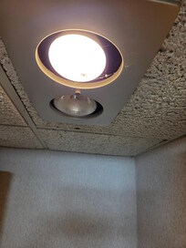 Cobwebs hanging from light