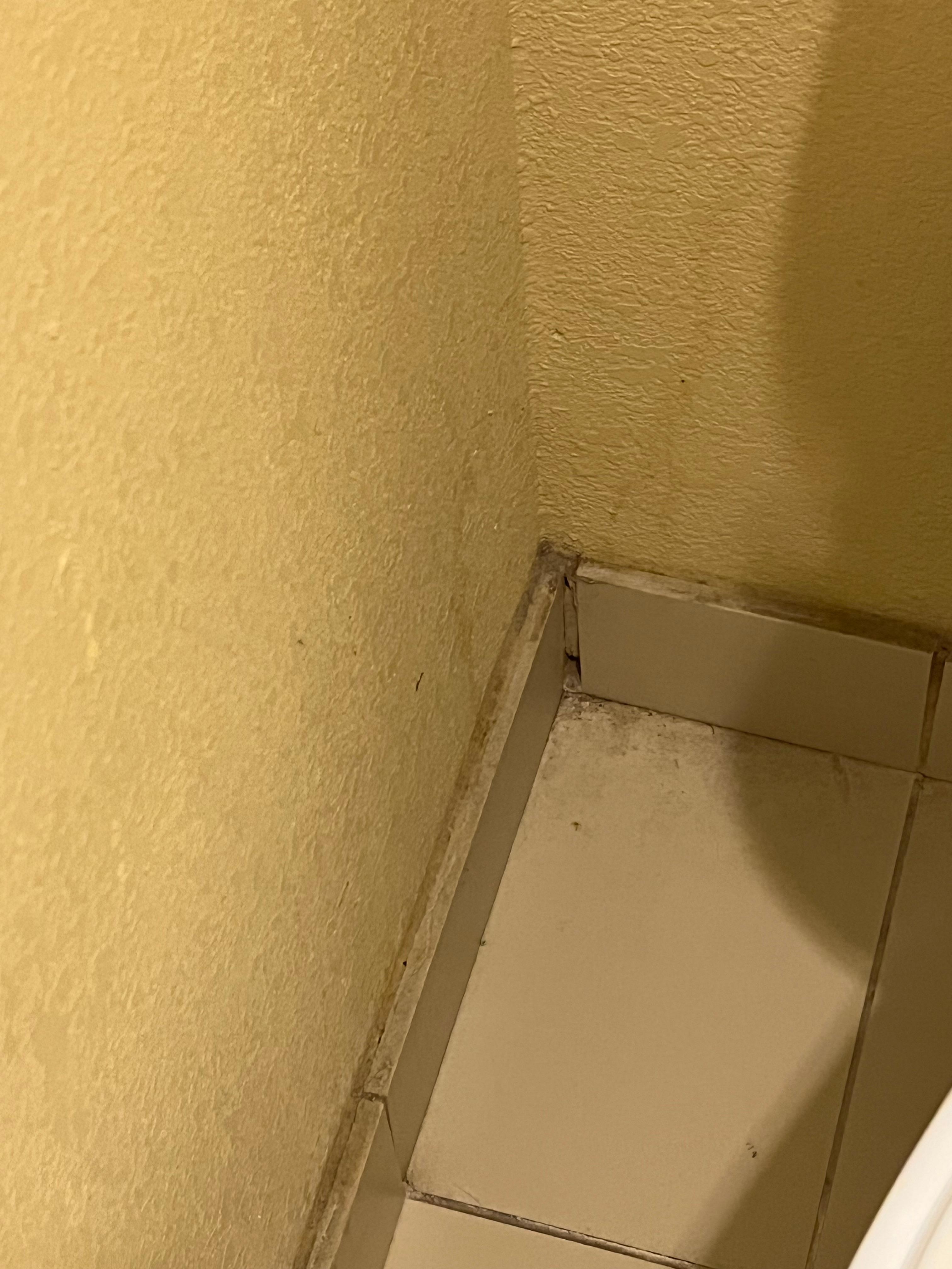 Baseboard filthy
