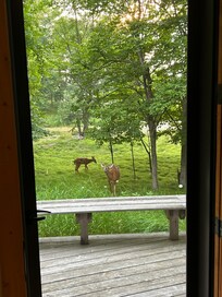 We even had guests for dinner one night.