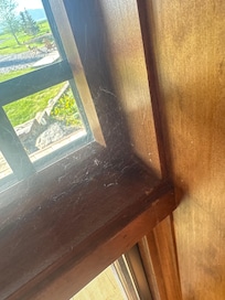 Cobwebs next to the table you eat at!