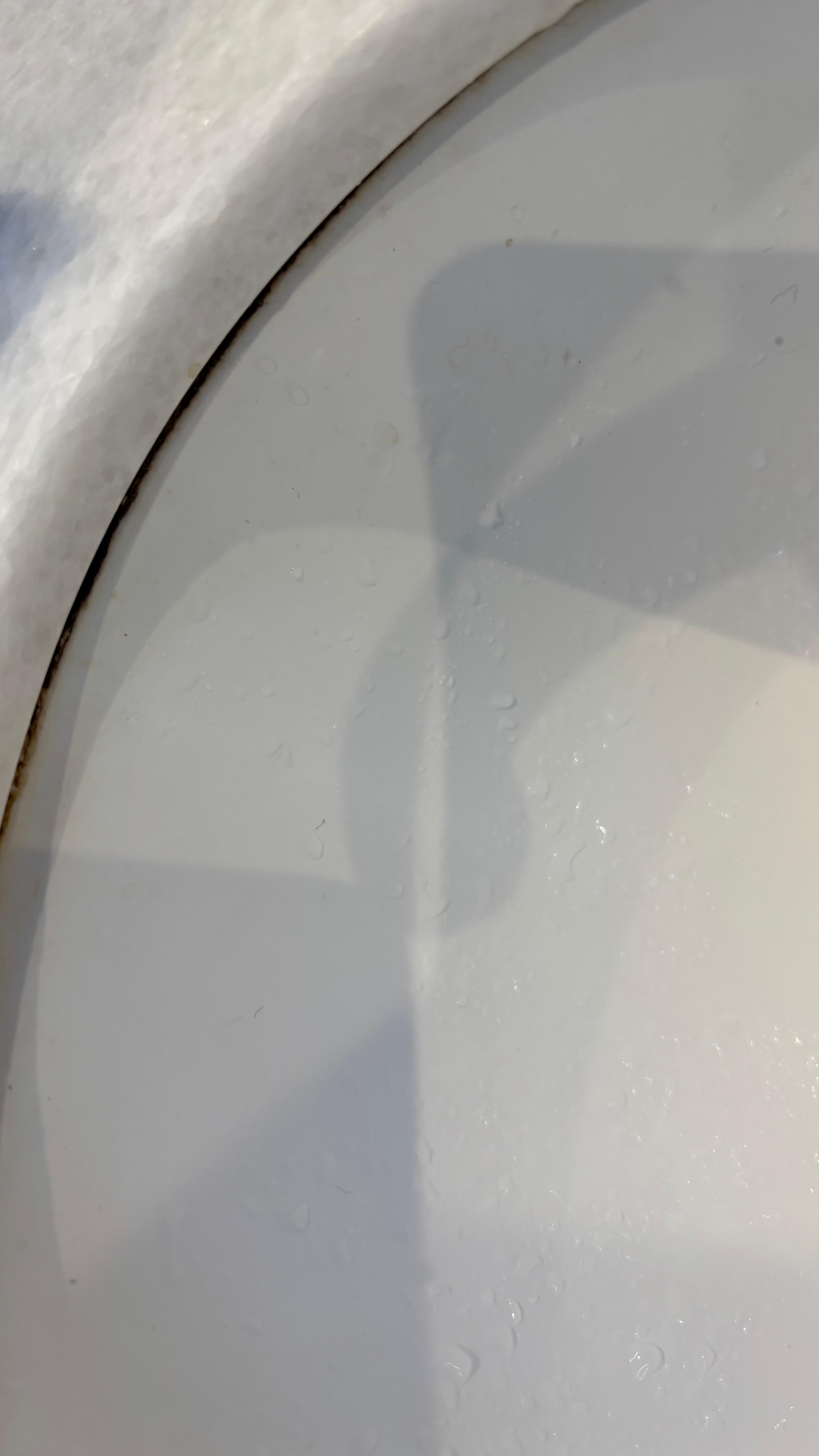 Needs a good brushing 