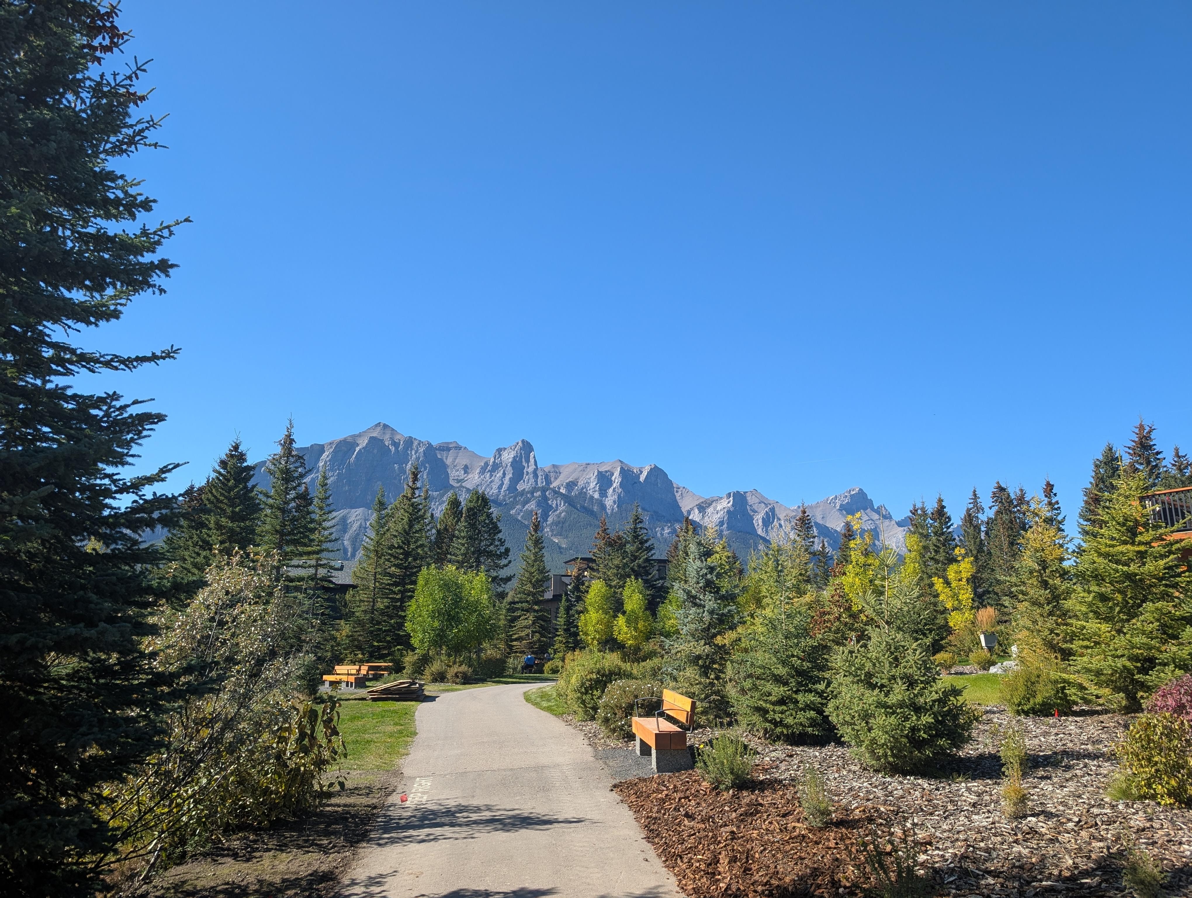 Great walking trails nearby