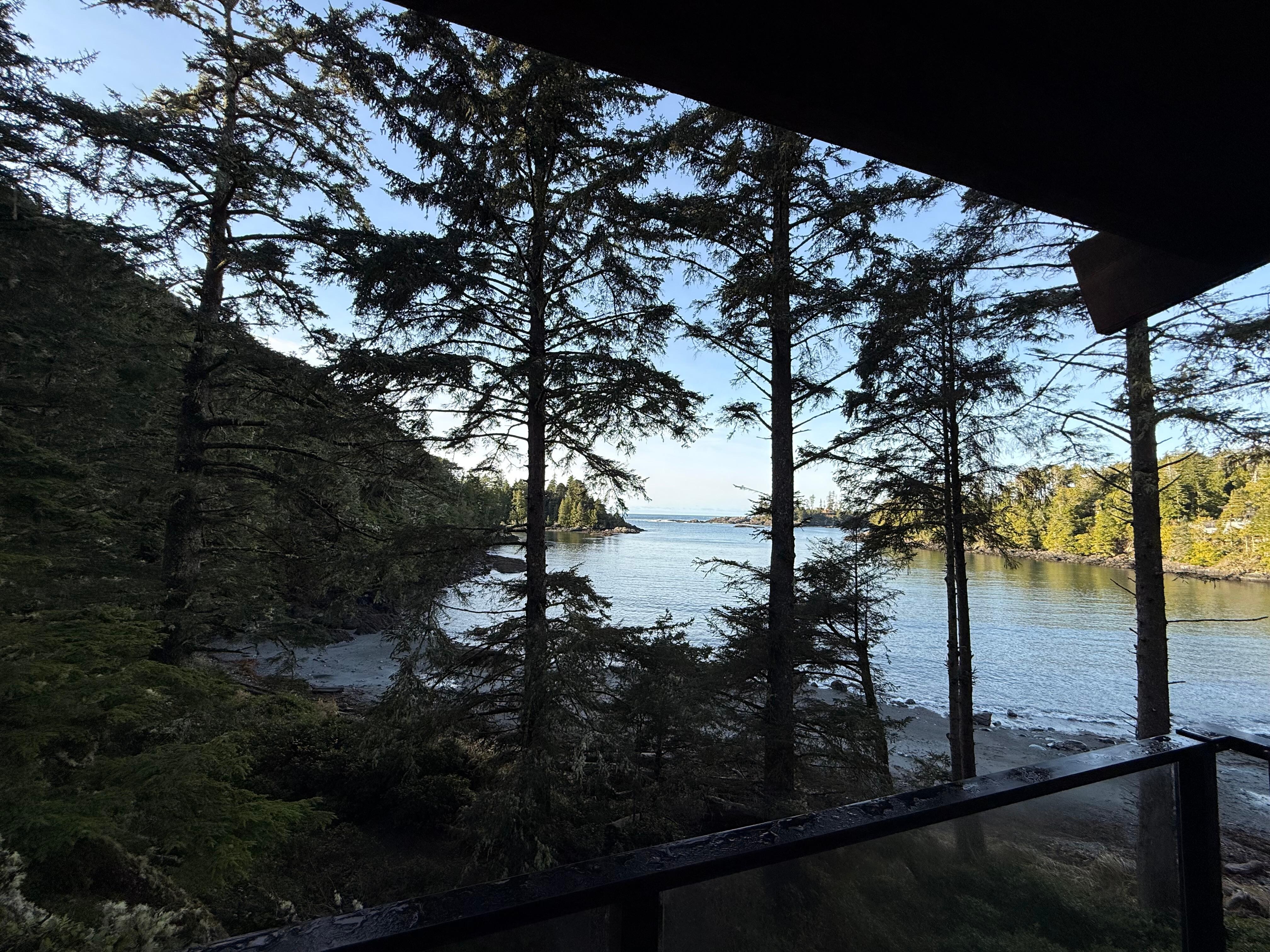 view from the hot tub 