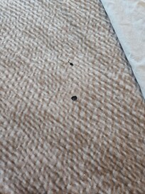 Bedding