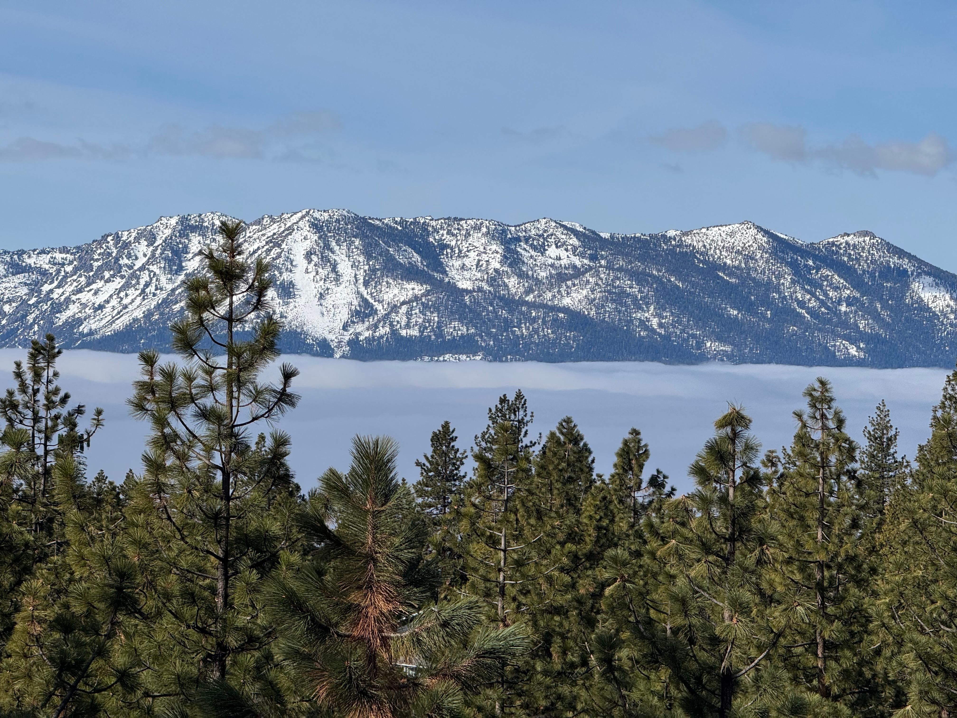 This picture was taken looking at the Lake from the back porch of the house. 