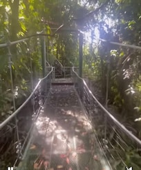 suspended bridge to get to the airplane
VRBO