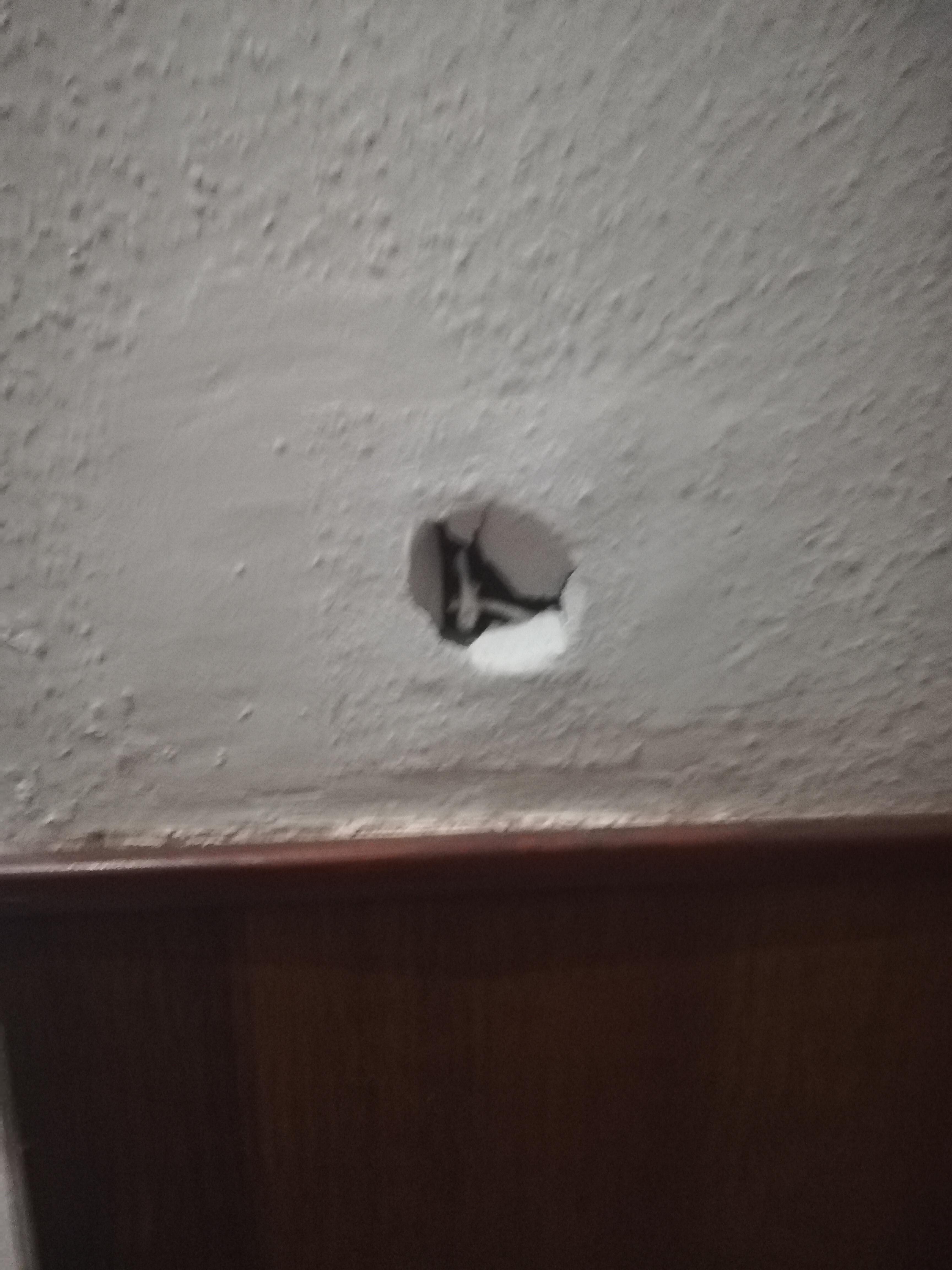 Offene Kabel!!!!!!! Lebensgefar 