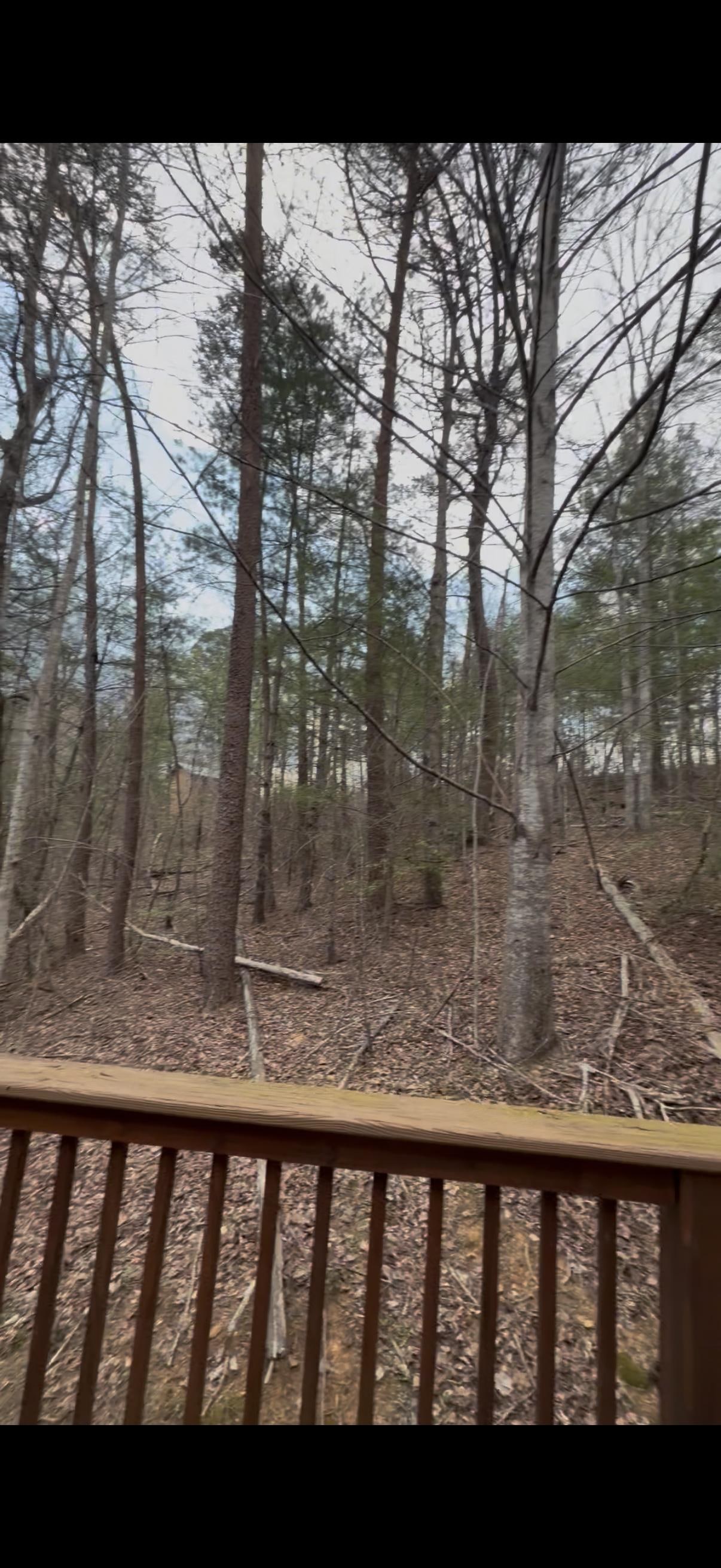 Secluded. Closest cabin is up through the trees