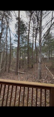 Secluded. Closest cabin is up through the trees