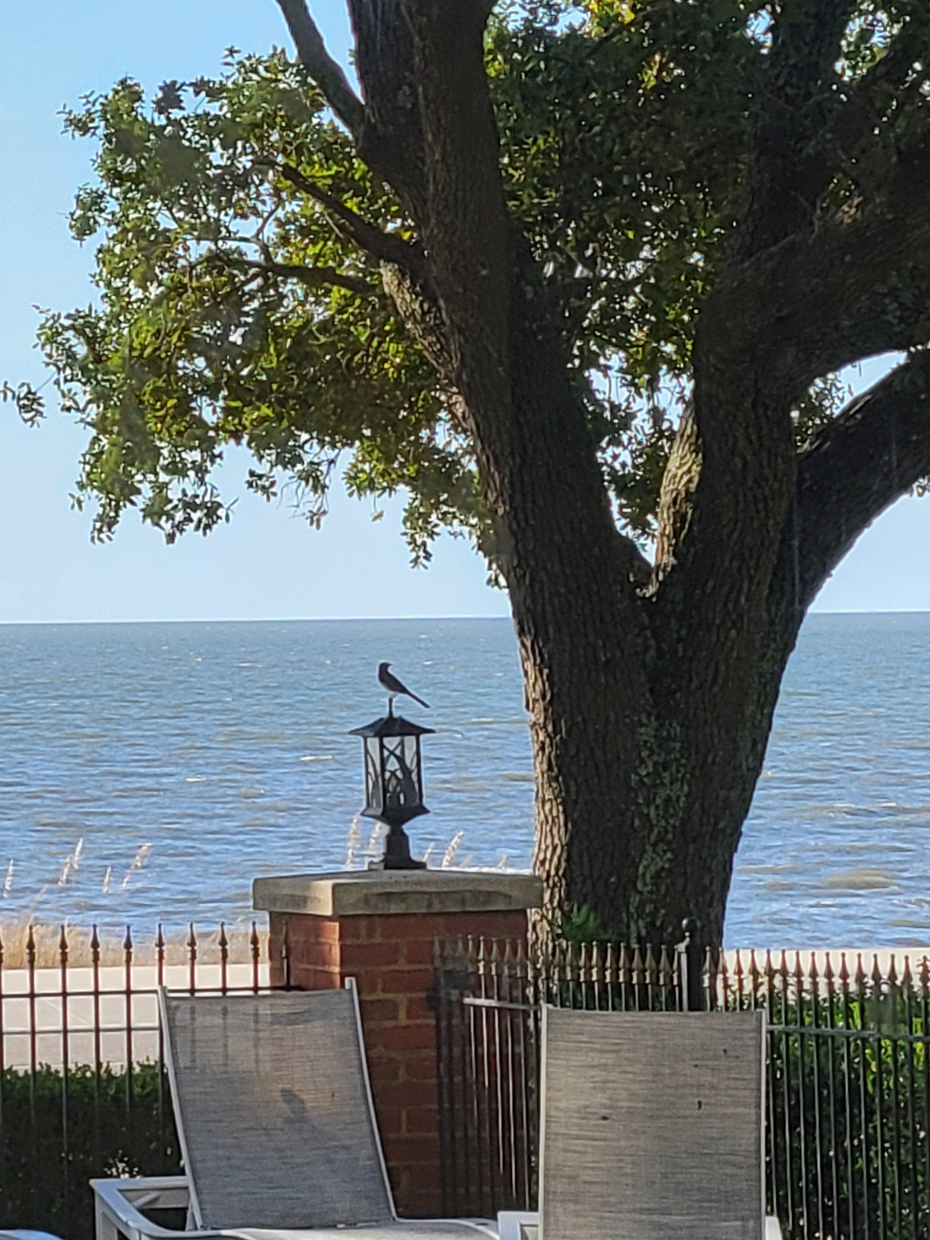 Looking out at breakfast. 