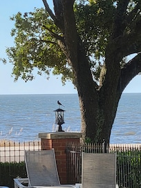 Looking out at breakfast.