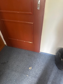 Dirty worn out carpet