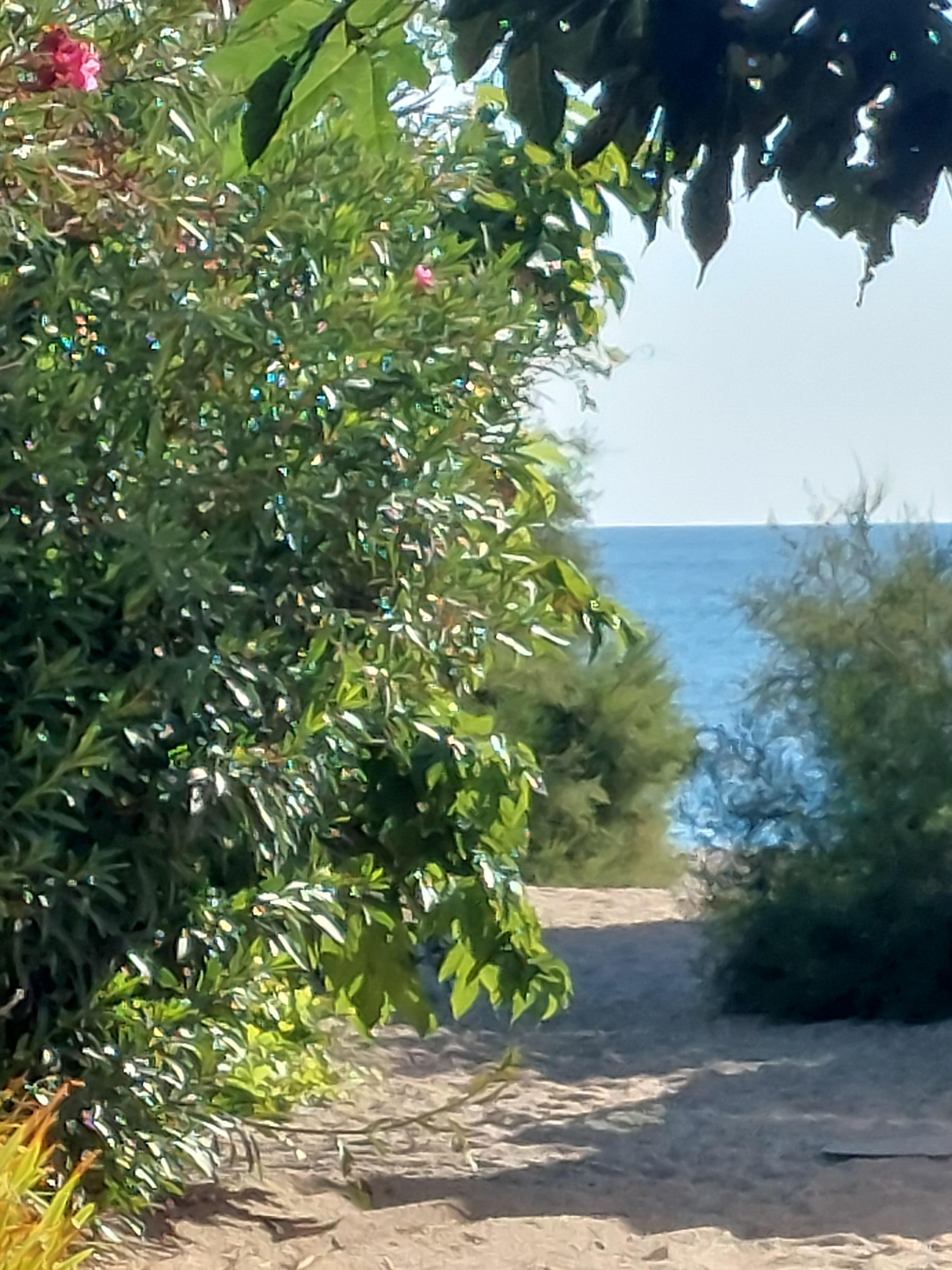 Passage entre les petites maisons du Racou pou aller à la plage 